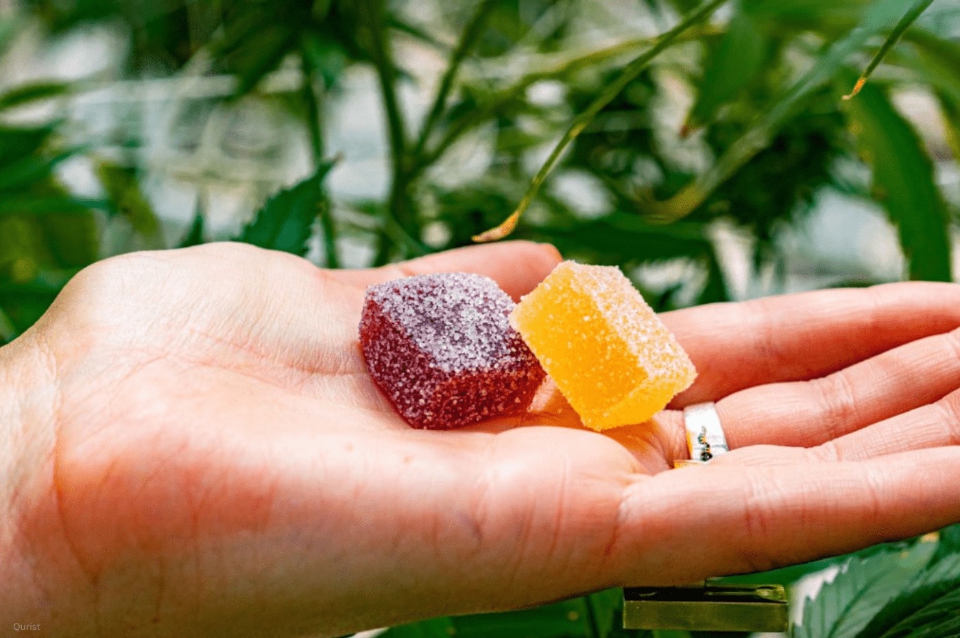 Benefits & Side-effects of CBD Gummies