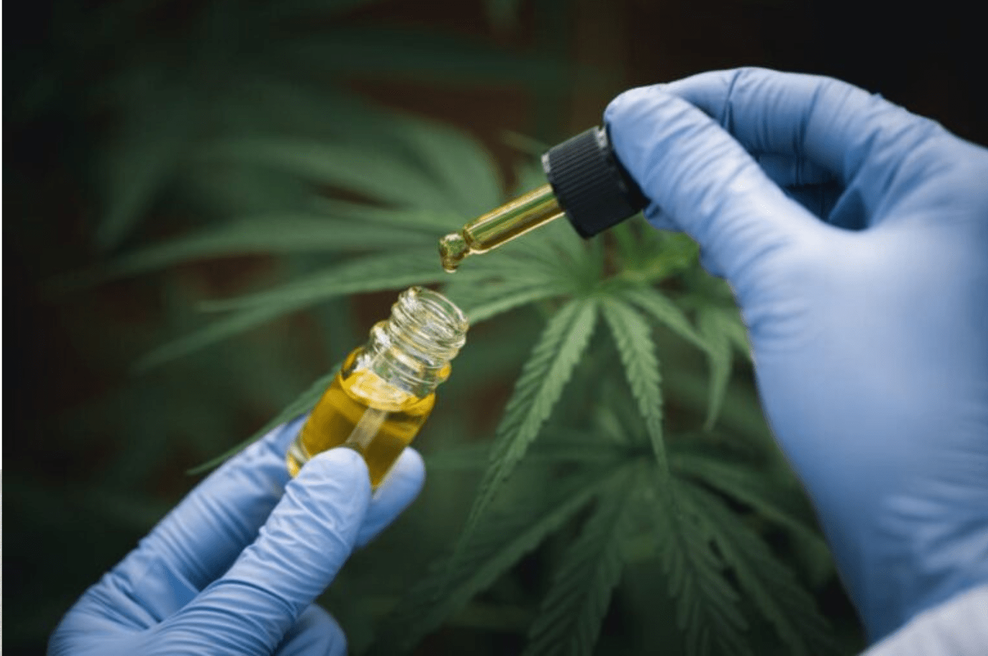 cbd for anxiety
