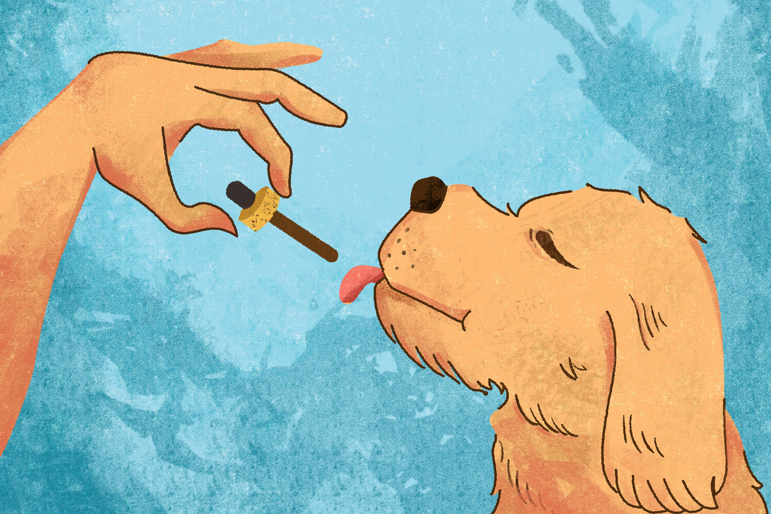 CBD Oil for Dogs and Pets