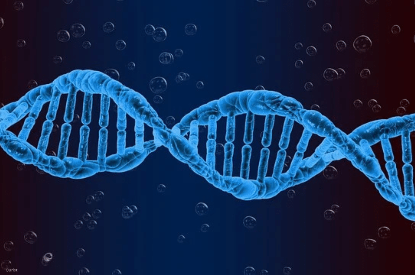 Genetic Variations: How DNA Affects Cannabis Response