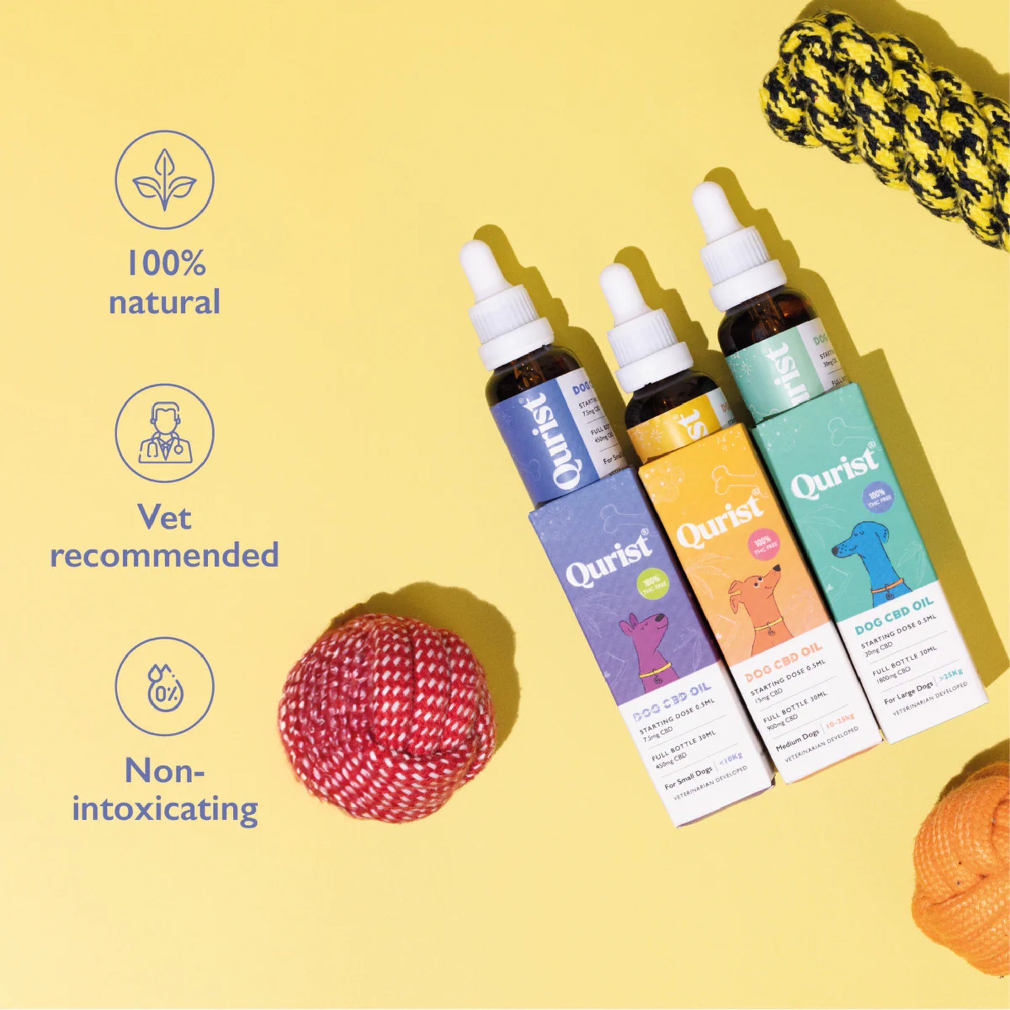 Vet Recommended CBD Oil for Dogs