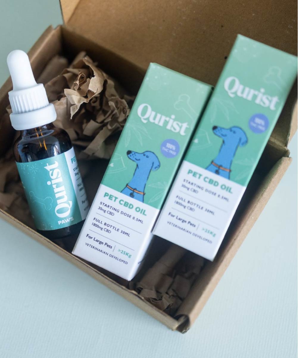 CBD for dogs and pets with neurological ailments like seizures