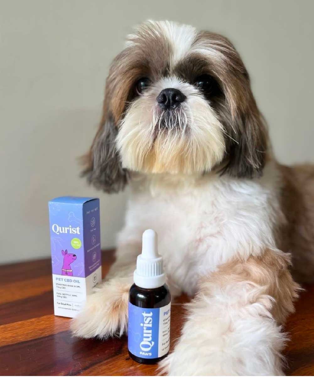 cure pet animals anxiety cannabis natural oil