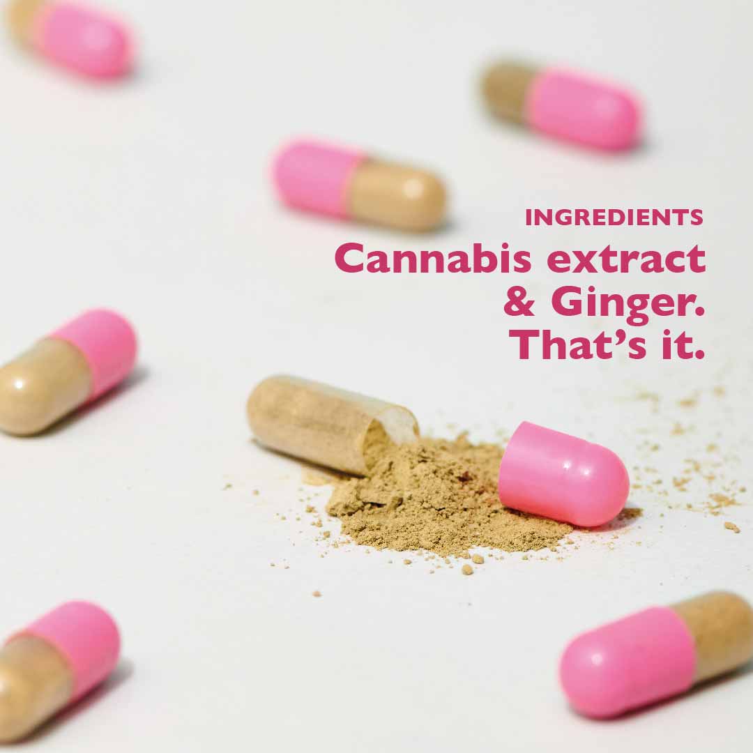 Ingredients in Qurist PeriodAid Capsule, #Size_Mini - 2 pills