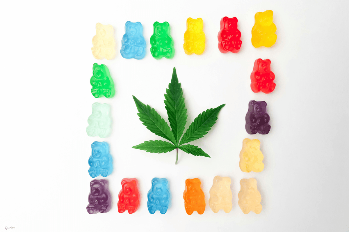 Cannabis Edibles in India