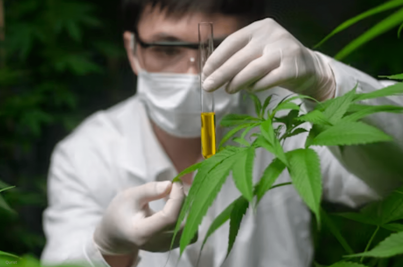 CBD Drug Interactions