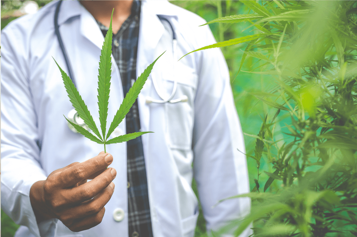 CBD for Immune System