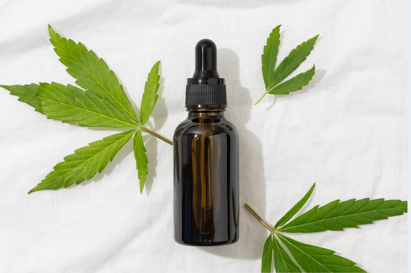 Taking CBD at Night vs Day: What is the Best Time to Take CBD Oil