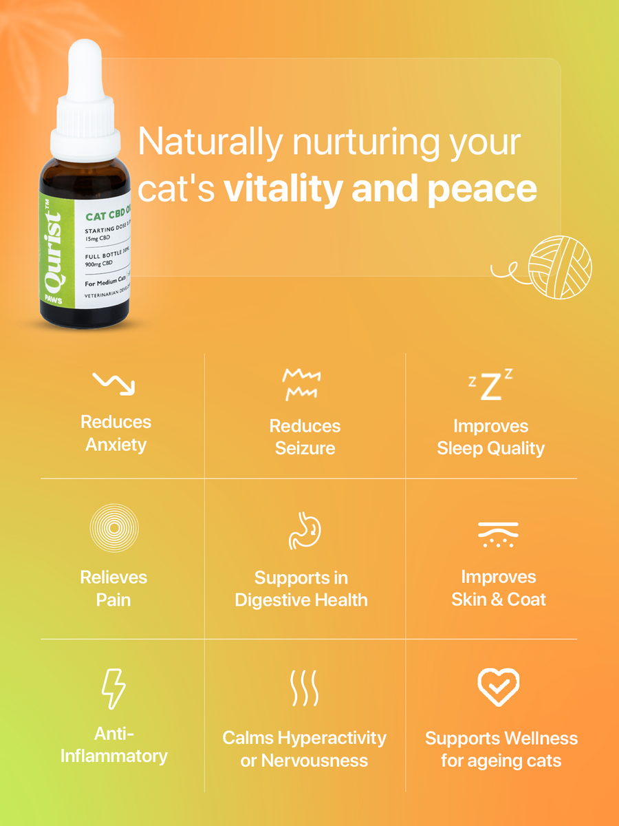 View of Buy Cat CBD Oil Online | Cats Pain & Anxiety Relief Oil