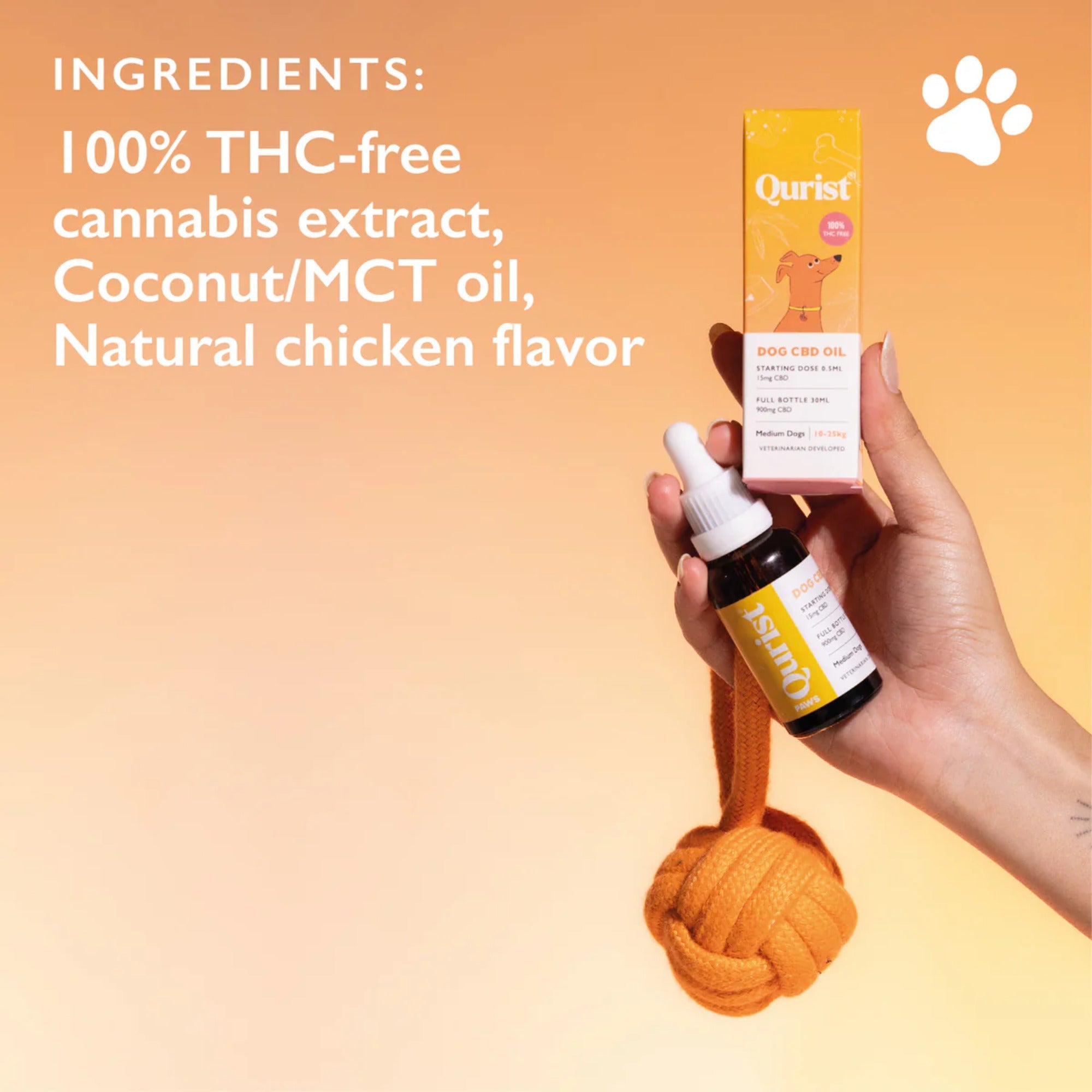 100% THC Free CBD Oil for Dogs
