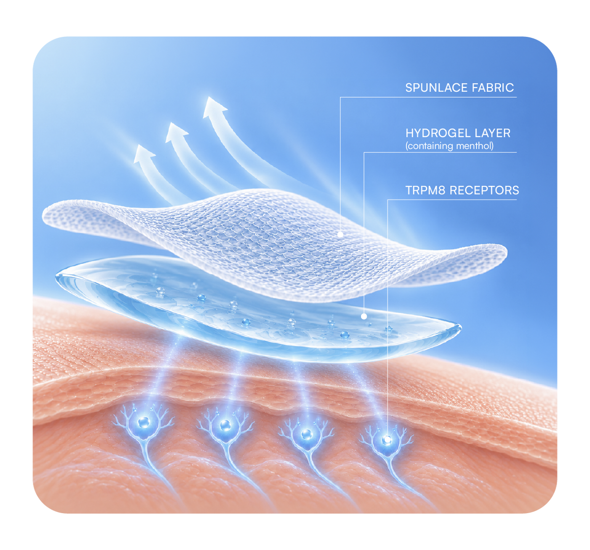Illustration of the patch layers: spunlace fabric, the menthol hydrogel layer and the skin's TRPM8 cold receptors