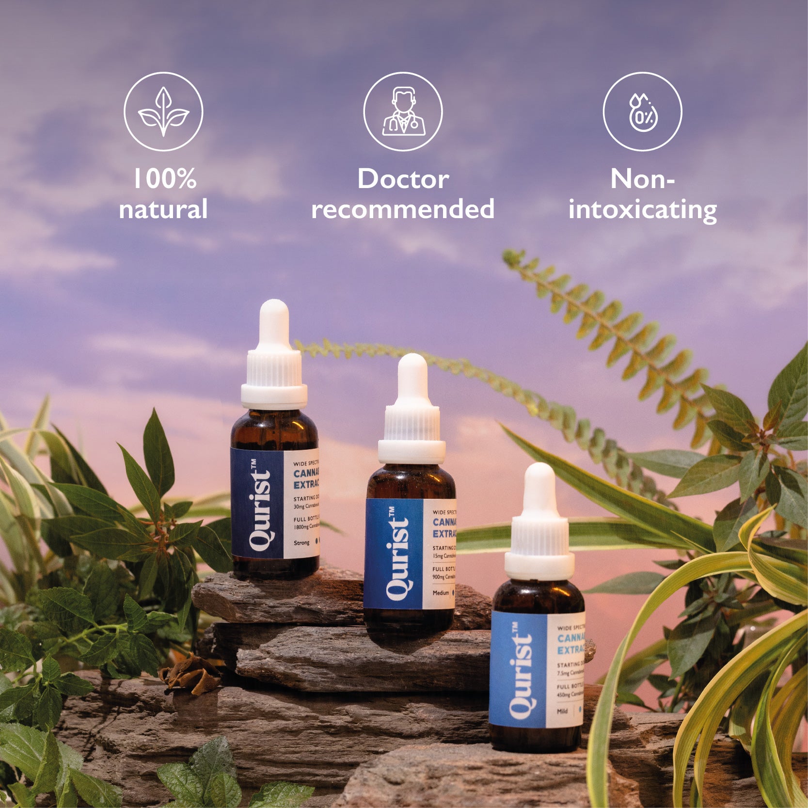 Discover The Top CBD Products For Optimal Wellness and Relief