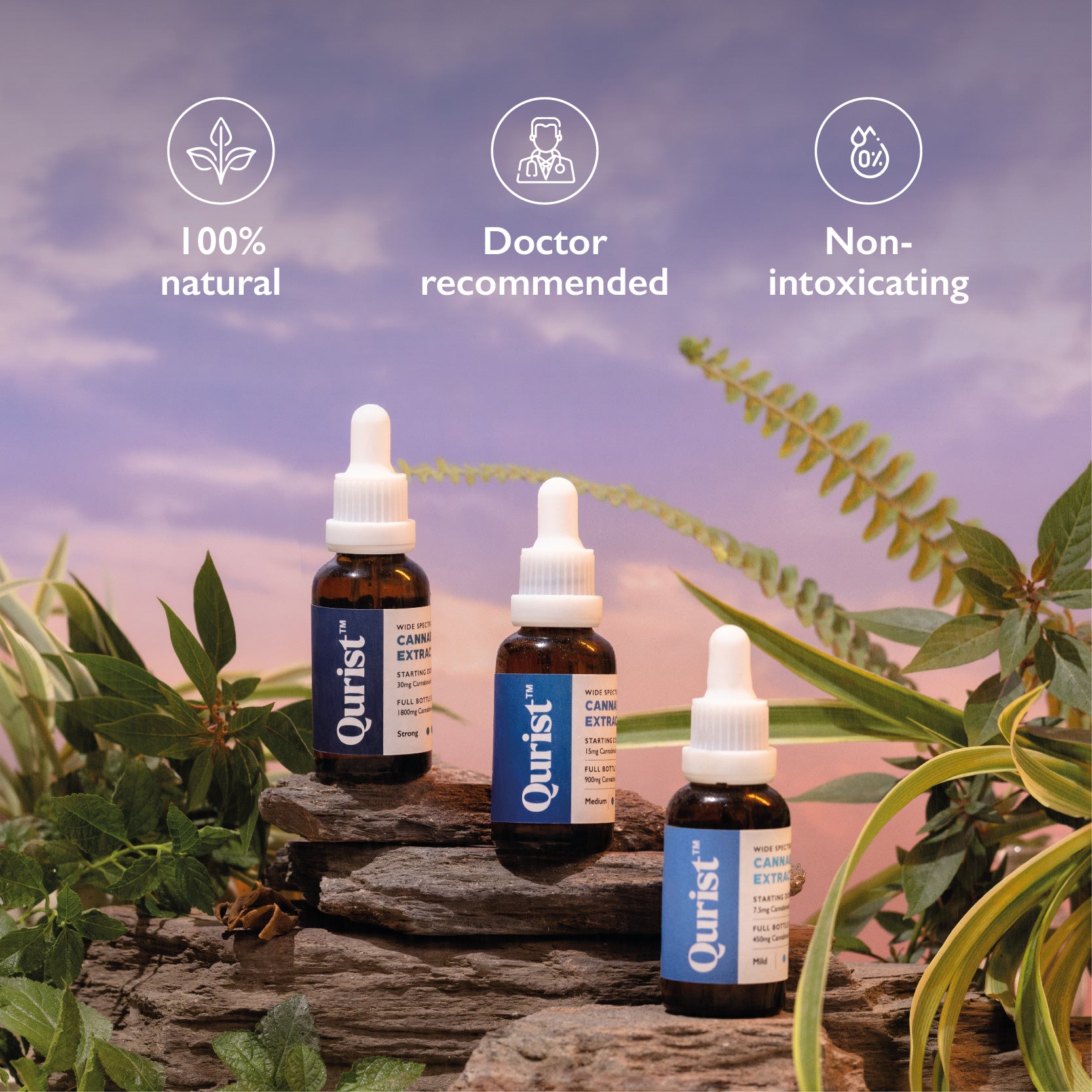 CBD OIL