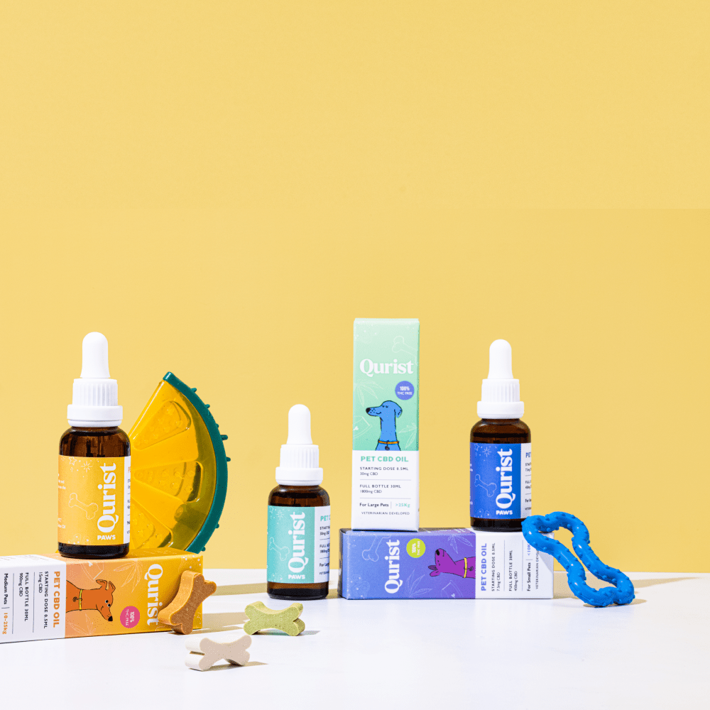 Cbd for dogs sales online